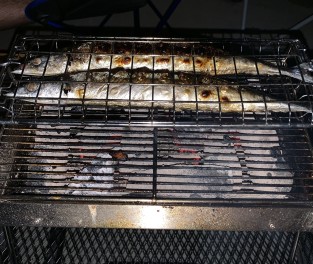秋の味覚